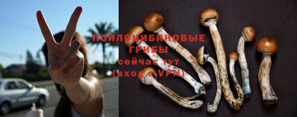 эйфоретик Белокуриха